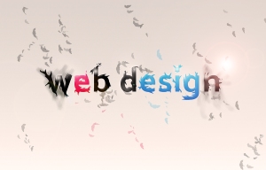 web design2